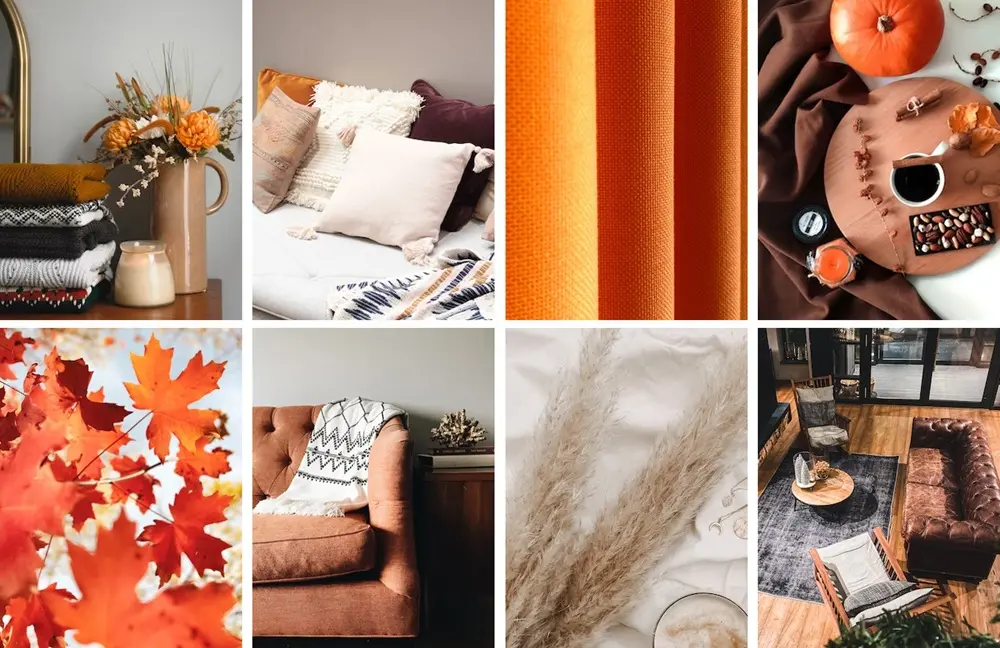 Fall サイズ調整.webp