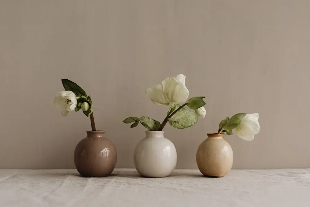 Japandi Decor Plants サイズ調整.webp