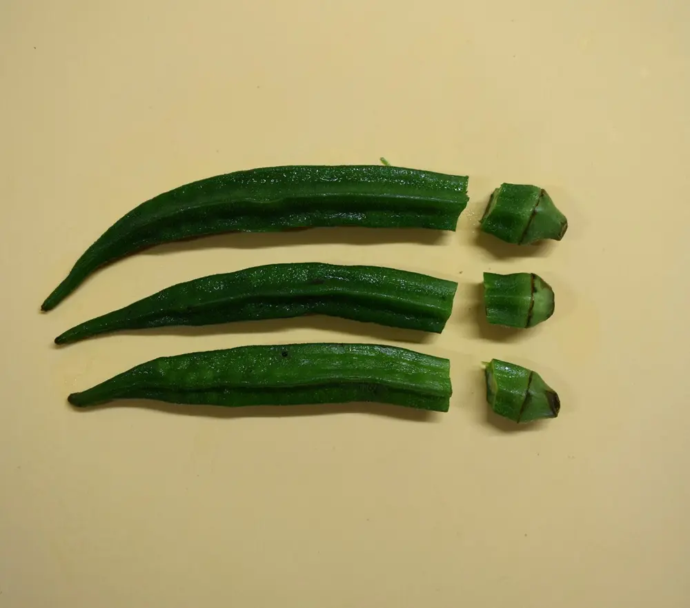 Japanese Bento Episode 1_5.webp