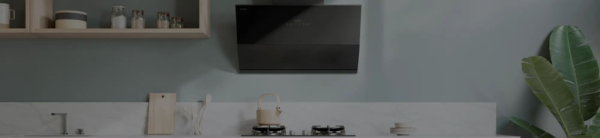 Interior color cordination with colored cooker hood vol.3