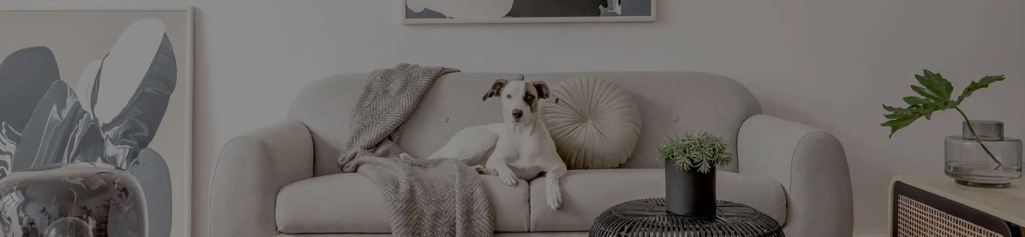 Creating a Japandi Style in Your Home: Tips and Tricks